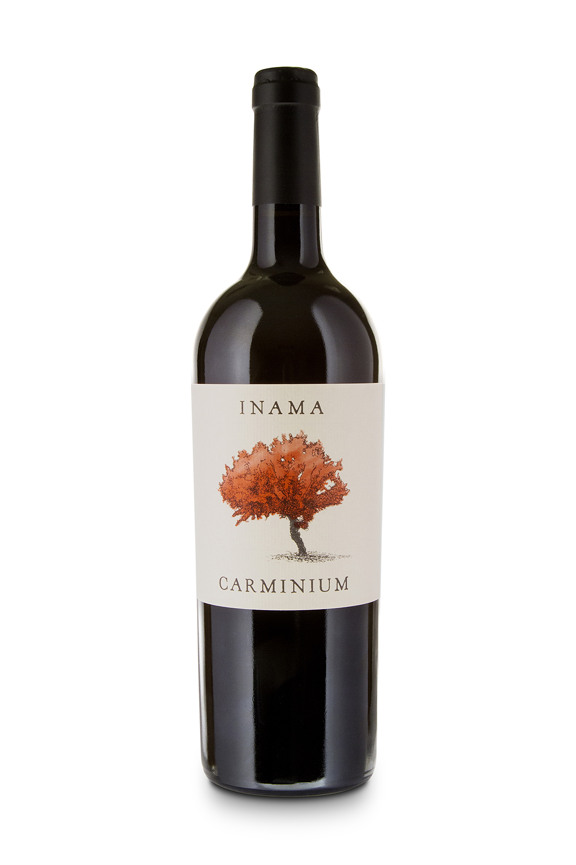 "Carminium" Colli Berci Carmenere DOC 2017, Inama