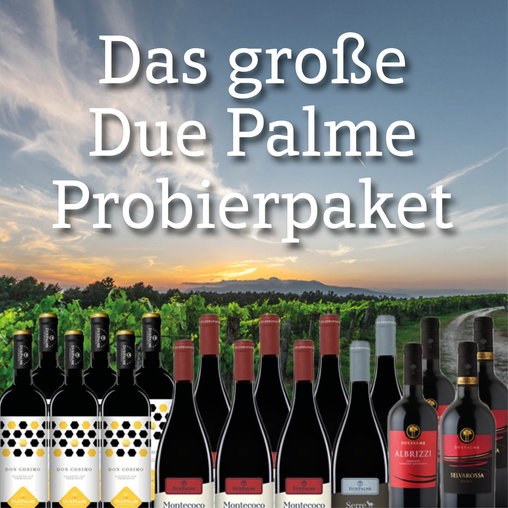 Das große Due-Palme-Probier-Paket - 18 Fl. Cantine Due Palme
