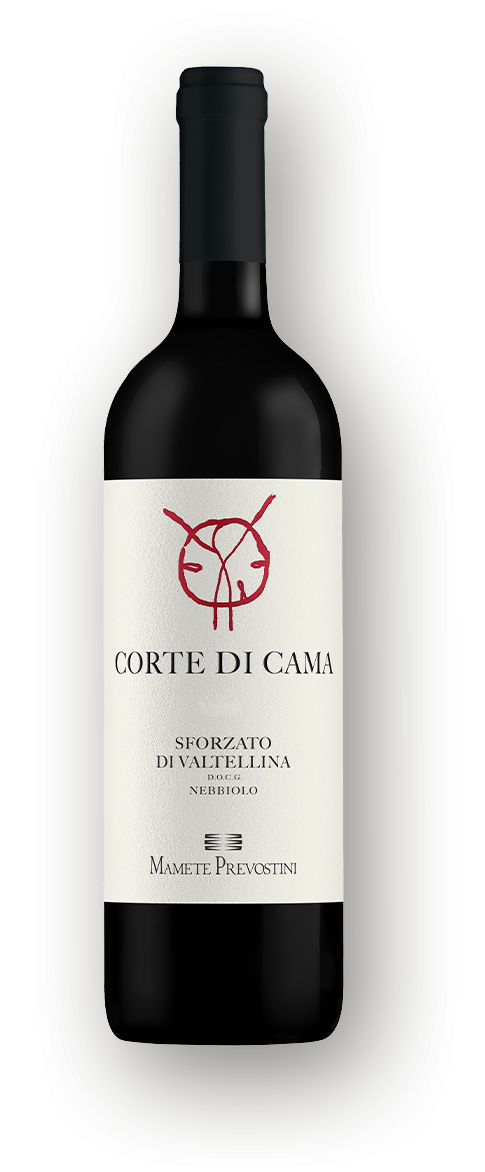 Corte di Cama Sforzato di Valtellina DOCG 2019,Mamete Prevostini