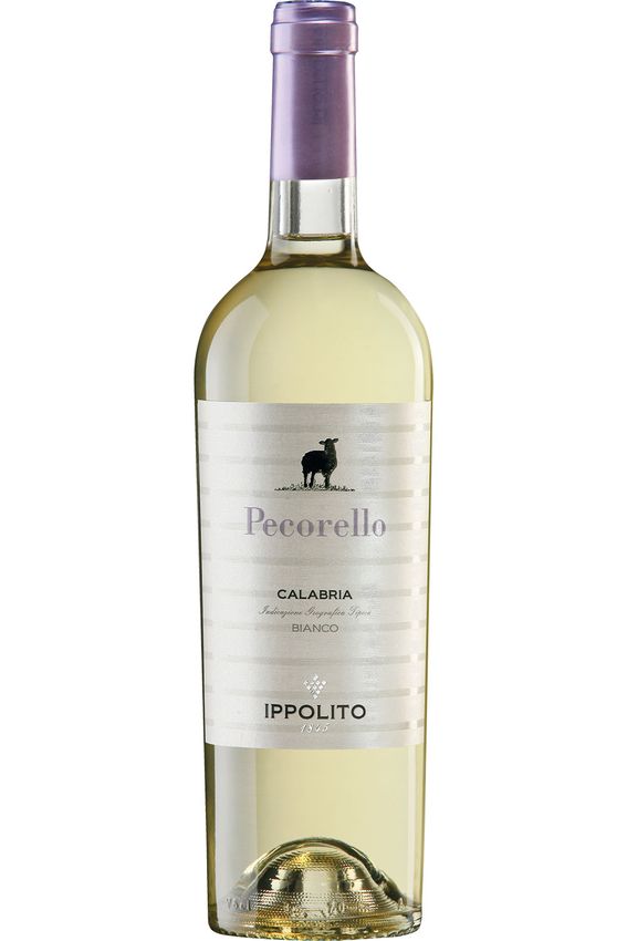 Pecorello Calabria Bianco IGT 2023, Ippolito