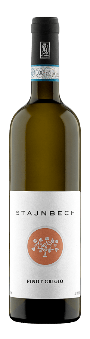 Pinot Grigio delle VenezieDOC 2022, Borgo Stajnbech