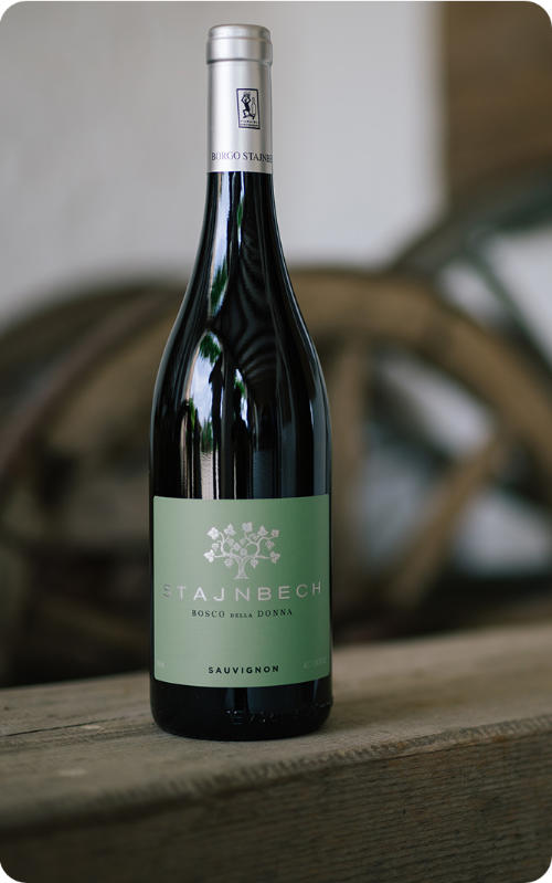 Sauvignon Bosco della Donna IGP 2023, Borgo Stajnbech
