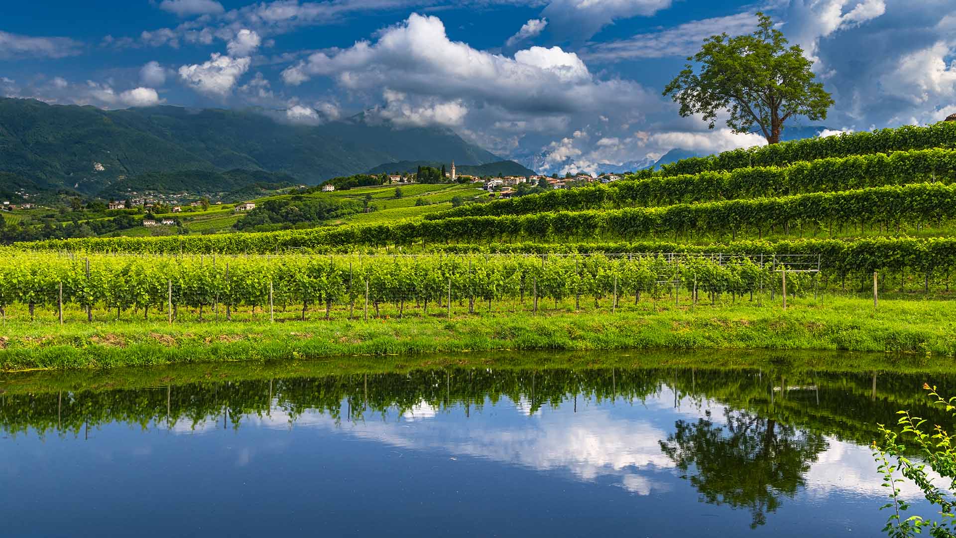 Weingut Bepin de Eto