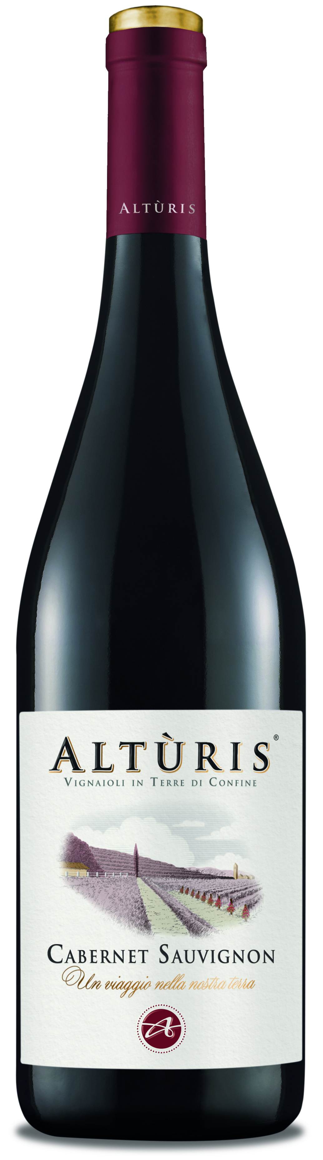 Cabernet Sauvignon Venezia - Giulia IGP 2023, Alturis