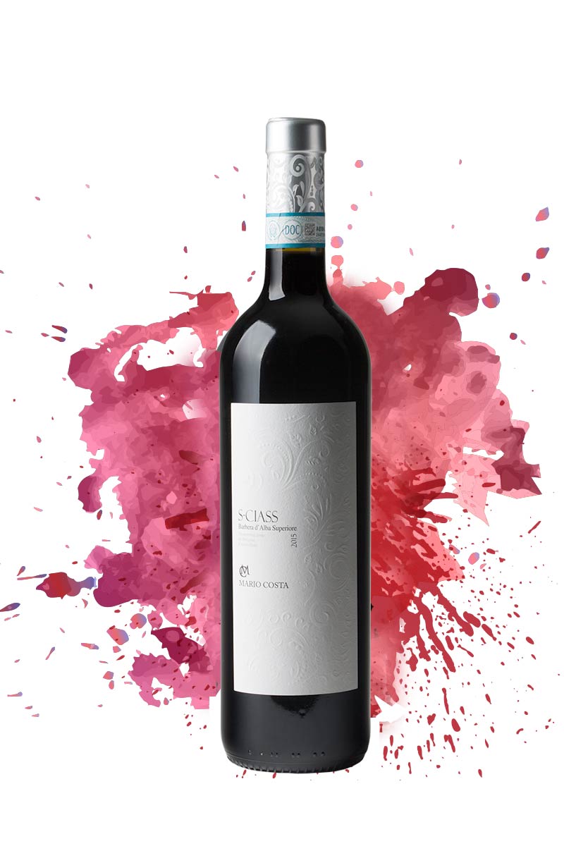 "S-Ciass" Barbera d'Alba Superiore DOC 2017, Mario Costa