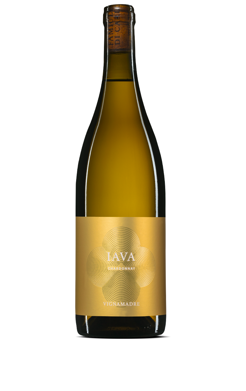 "IAVA" Chardonnay IGP Terre di Chieti 2024 BIO, Vigna Madre