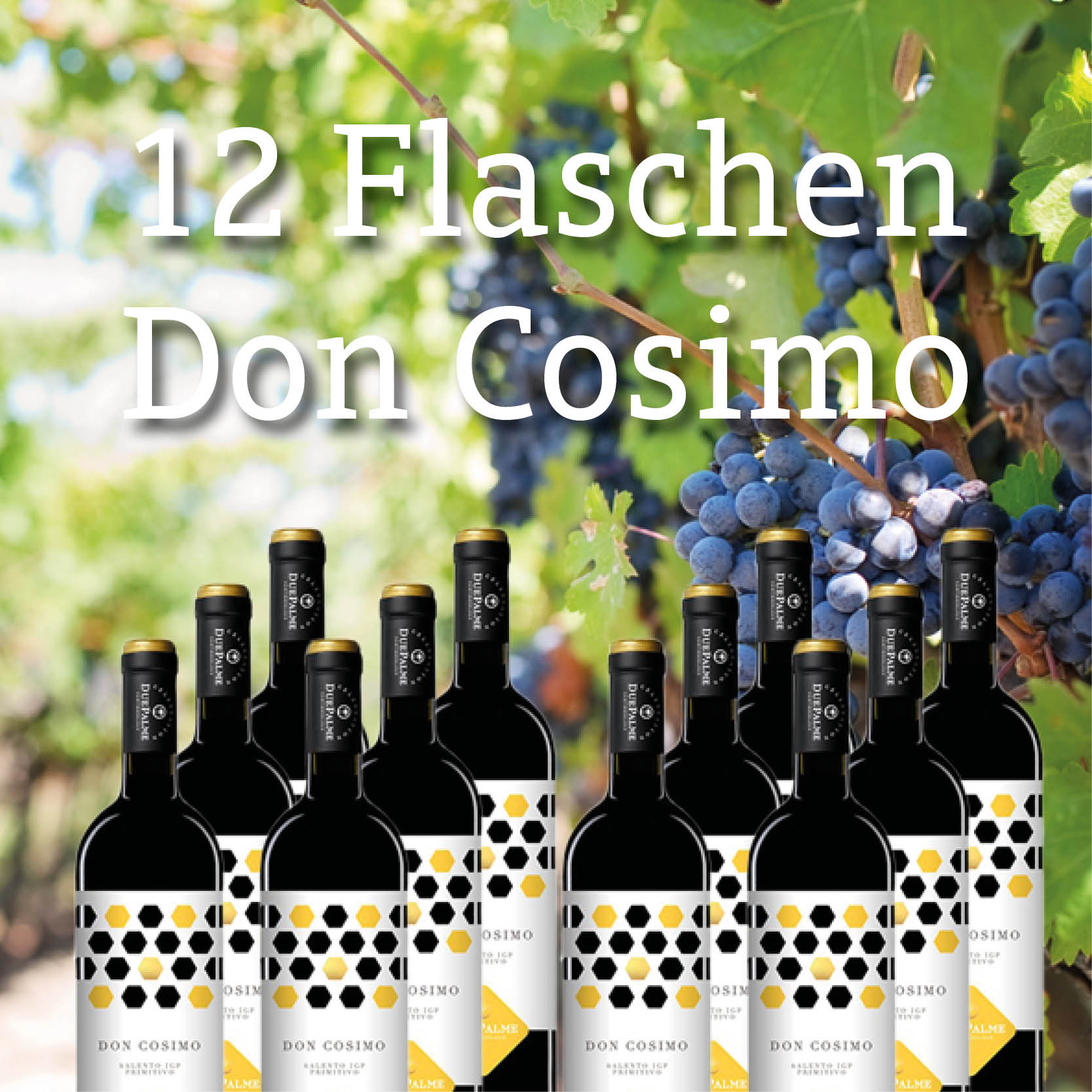 12 Fl. Primitivo "Don Cosimo" 2021 Cantine Due Palme